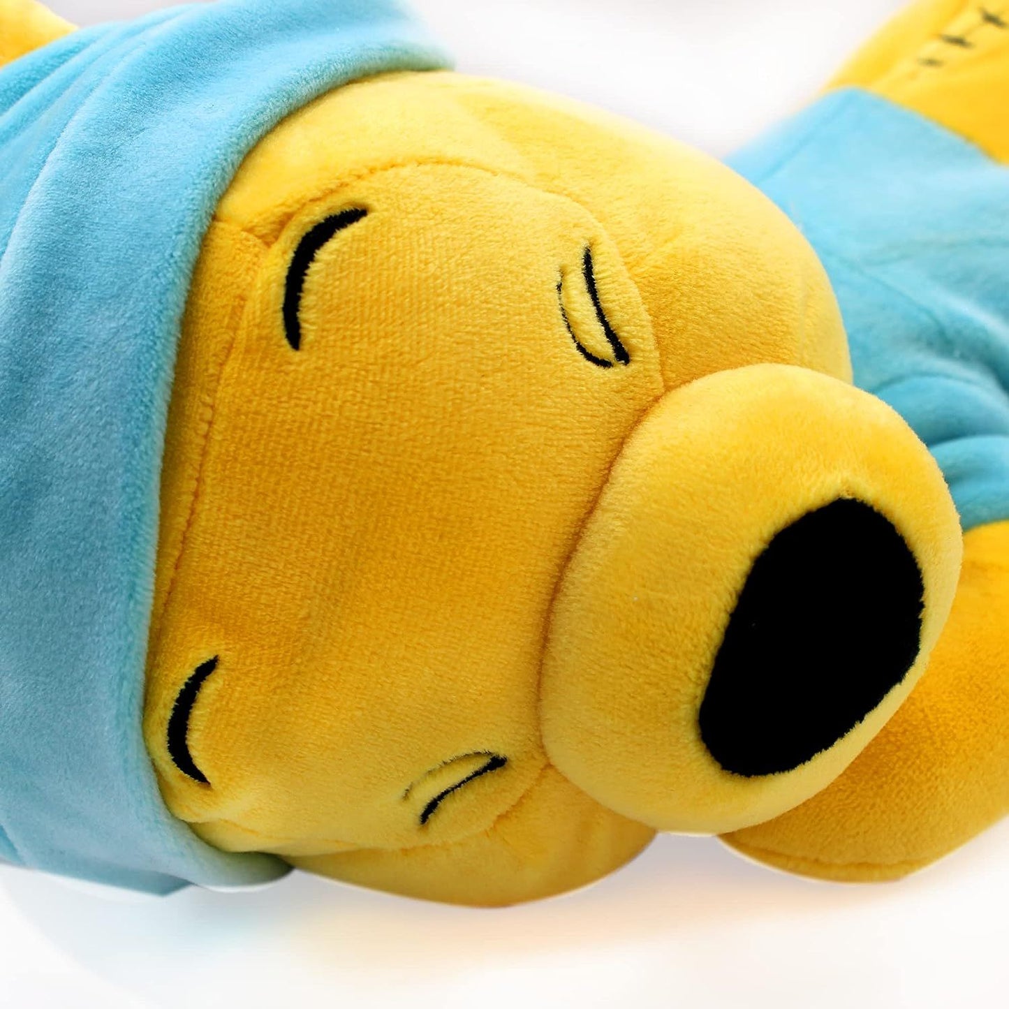 Disney Baby - SLeeping Babies winnie the pooh close up of face - Heretoserveyou
